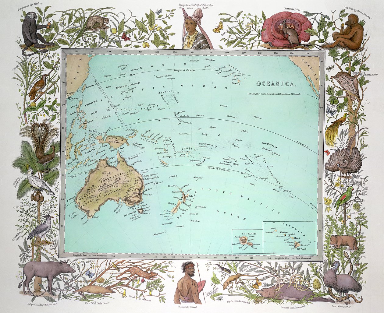 Oceanica, fra Vogel