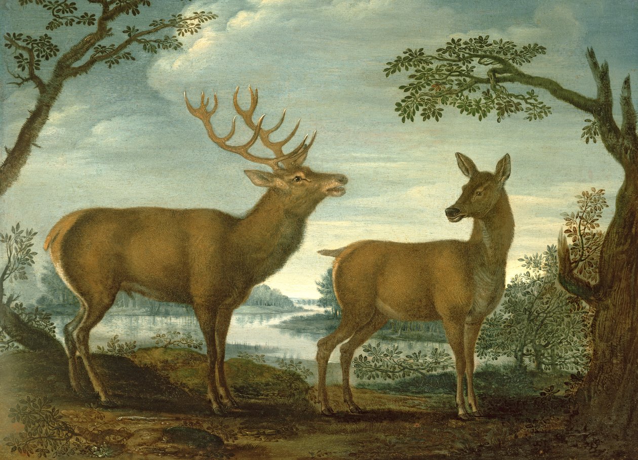 Hjort og hind i et skogkledd landskap (panel) av German School