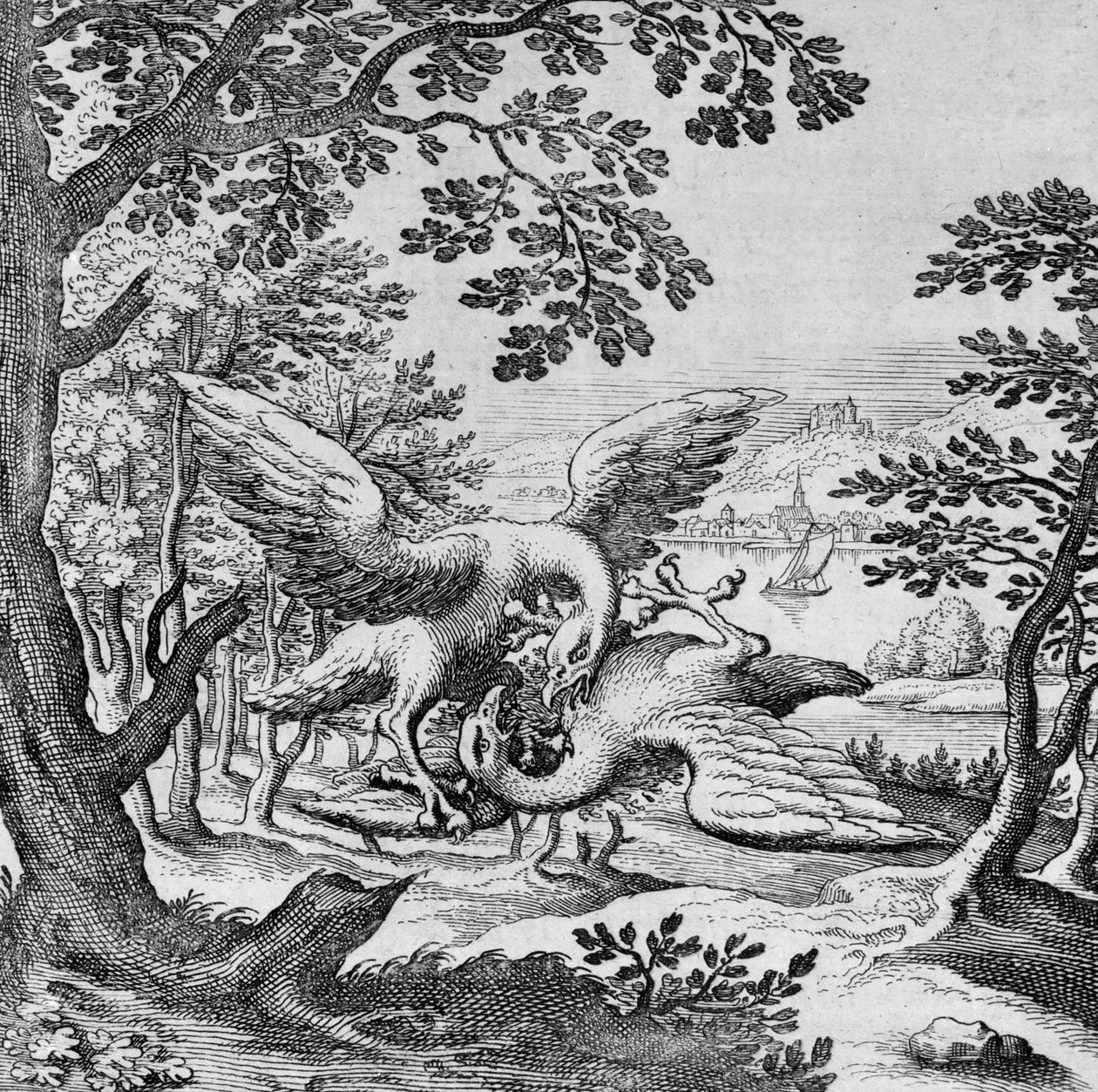 Birds fighting from Musaeum Hermeticum av German School