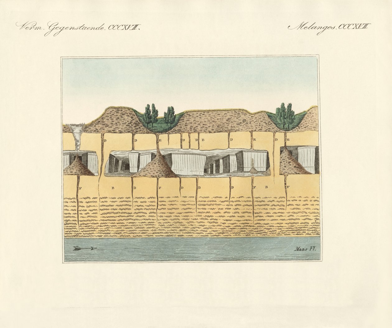 Jordrør (farget gravering) av German School