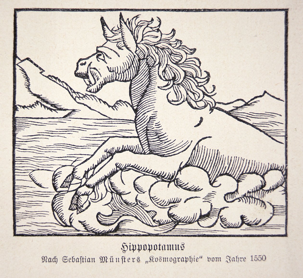 Flodhest fra Sebastien Münsters 'Cosmographie Universalis' av German School