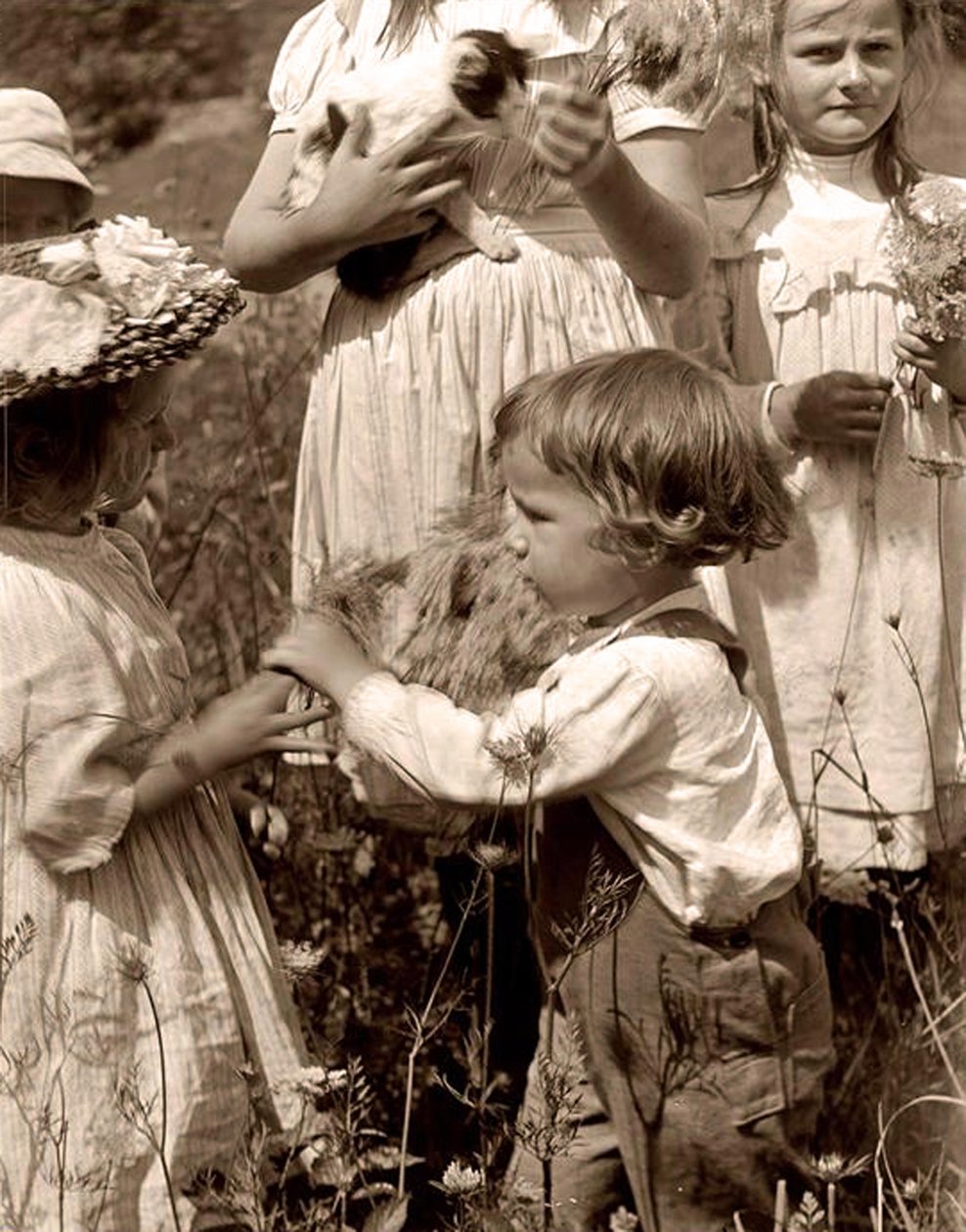 Glade dager 1902 Gertrude Kasebier (1852-1934). av Gertrude Käsebier