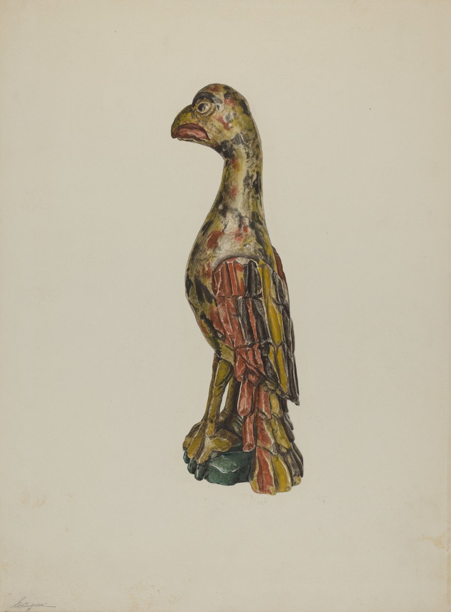 Pa. Tysk papegøye, ca. 1939. av Giacinto Capelli