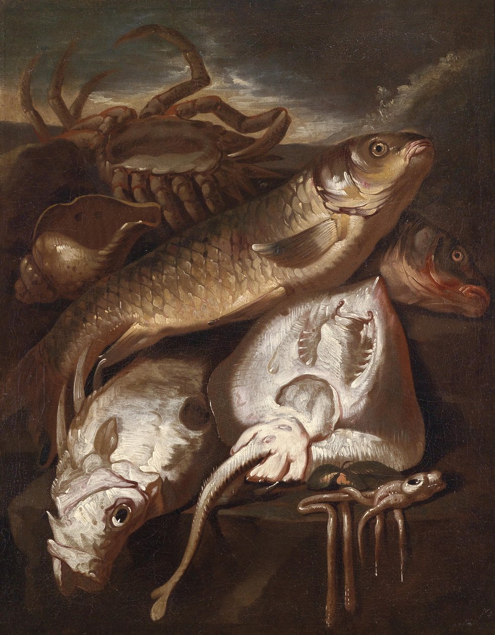 Fisk stilleben av Giacomo Francesco Cipper