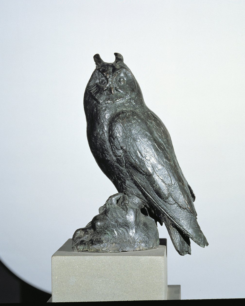 Ugle (bronse) av Giambologna