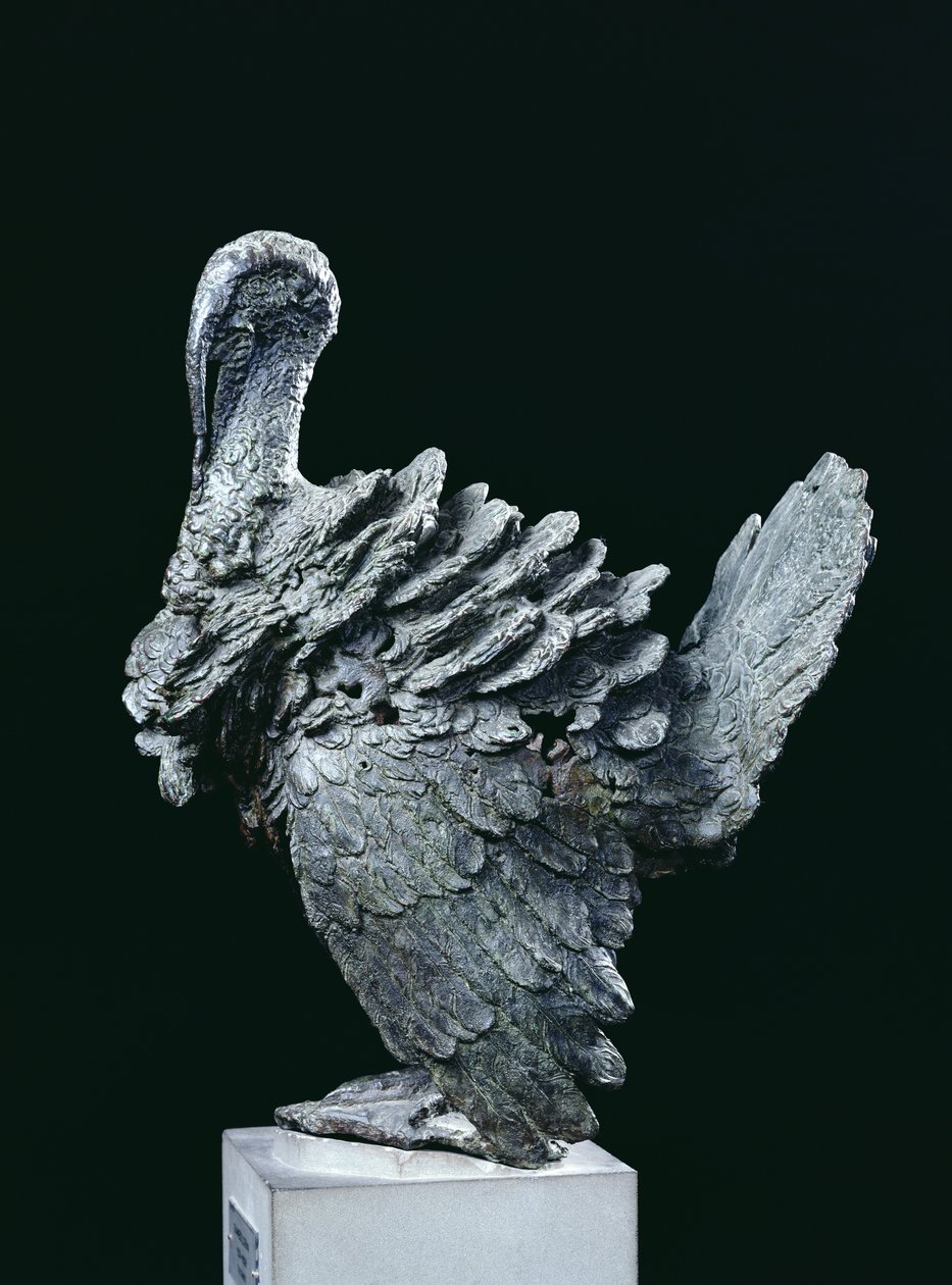 Tyrkia (bronse) av Giambologna