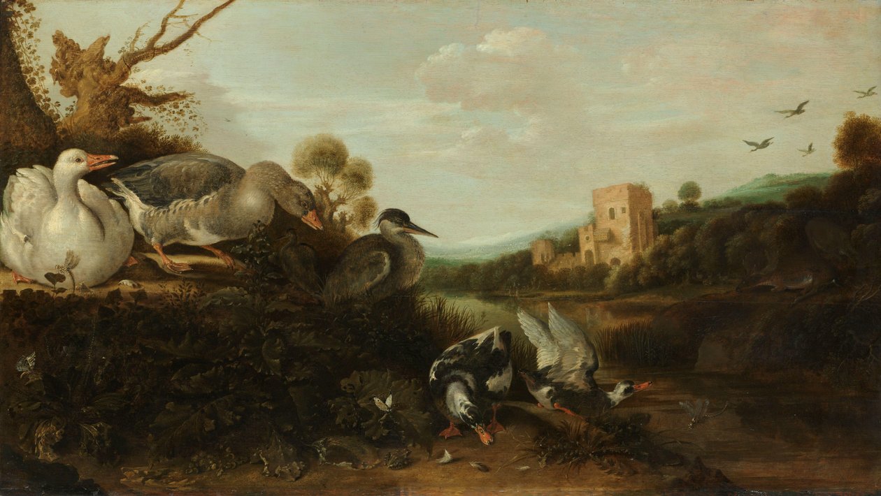 Vannfugl av Gijsbert Gillisz de Hondecoeter