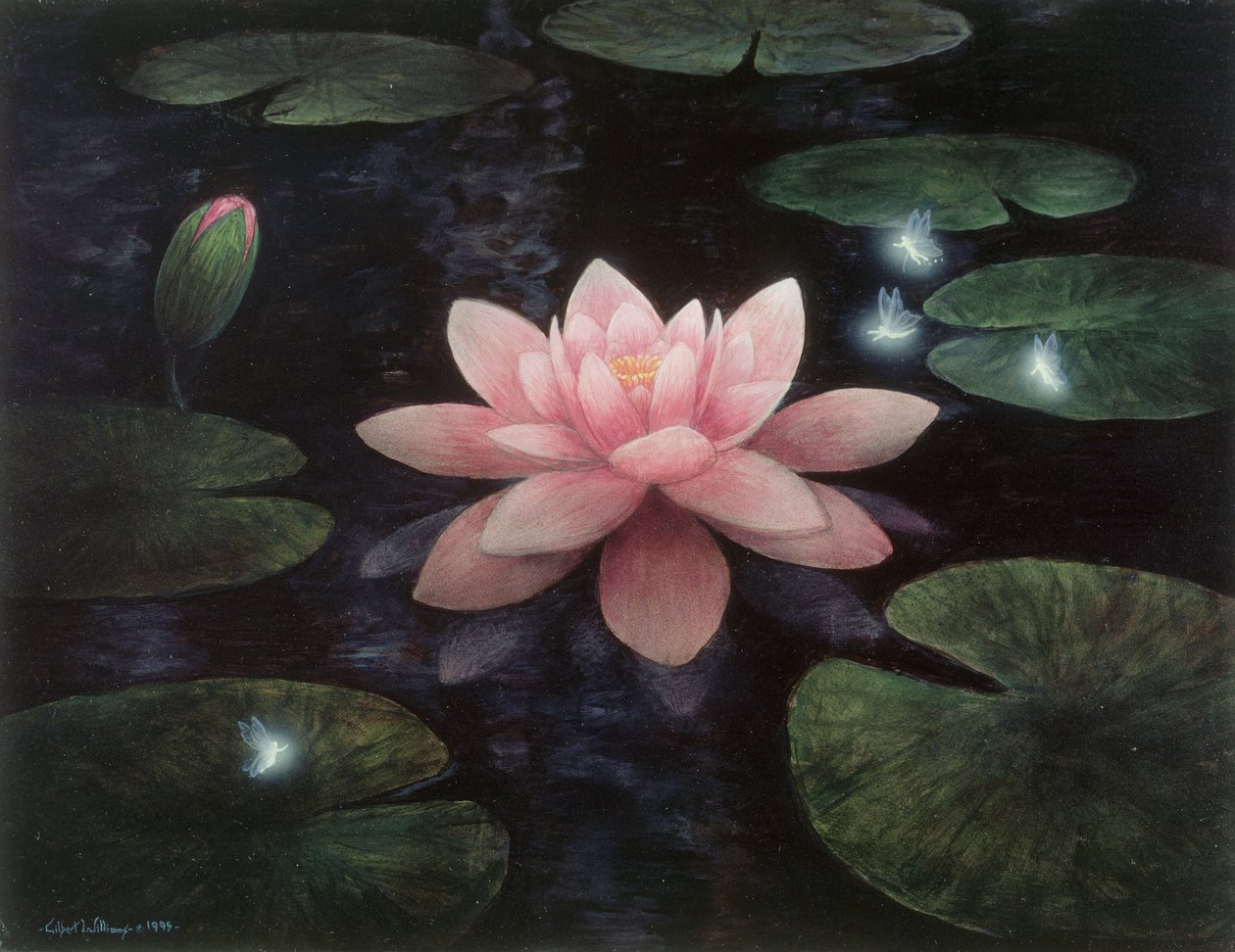  av Gilbert Williams