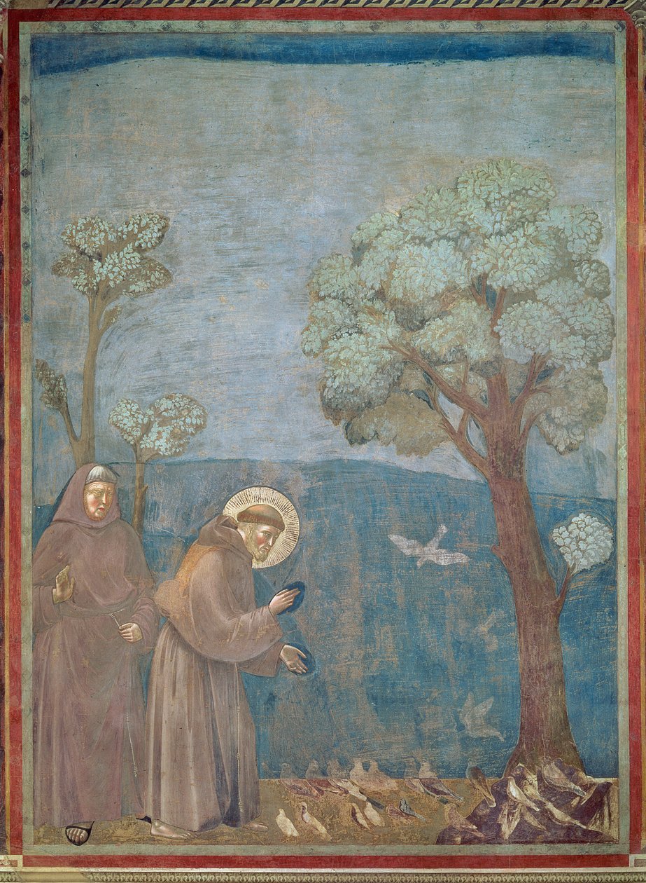 St. Frans forkynner for fuglene, 1297-99 av Giotto di Bondone