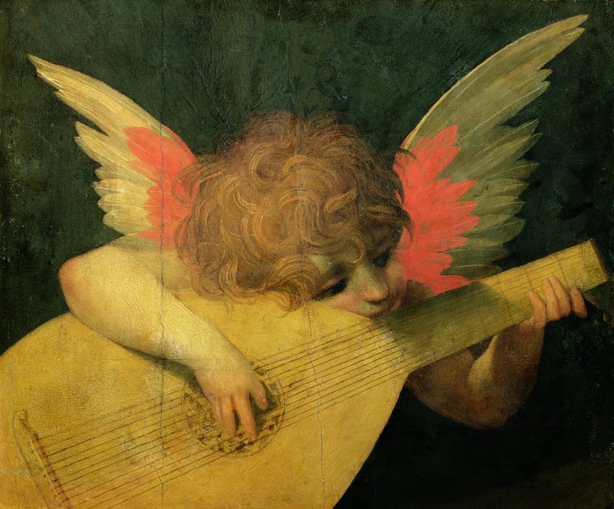 Angel Musician, ca. 1520 (tempera på panel) av Giovanni Battista Rosso Fiorentino