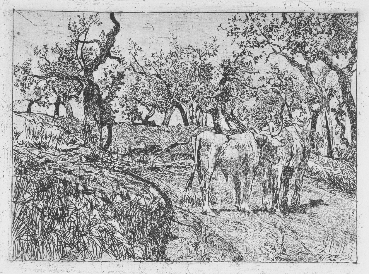 Storfe blant oliventrær av Giovanni Fattori