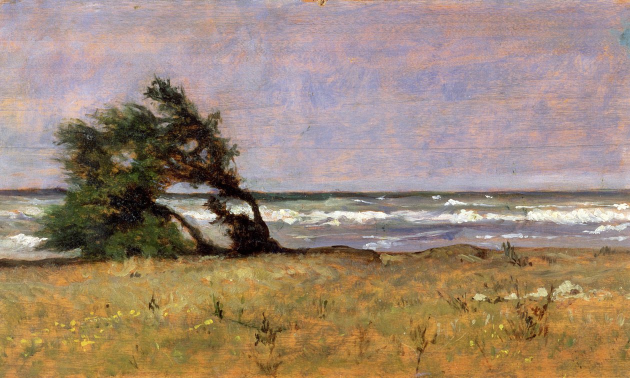 Storm av Giovanni Fattori