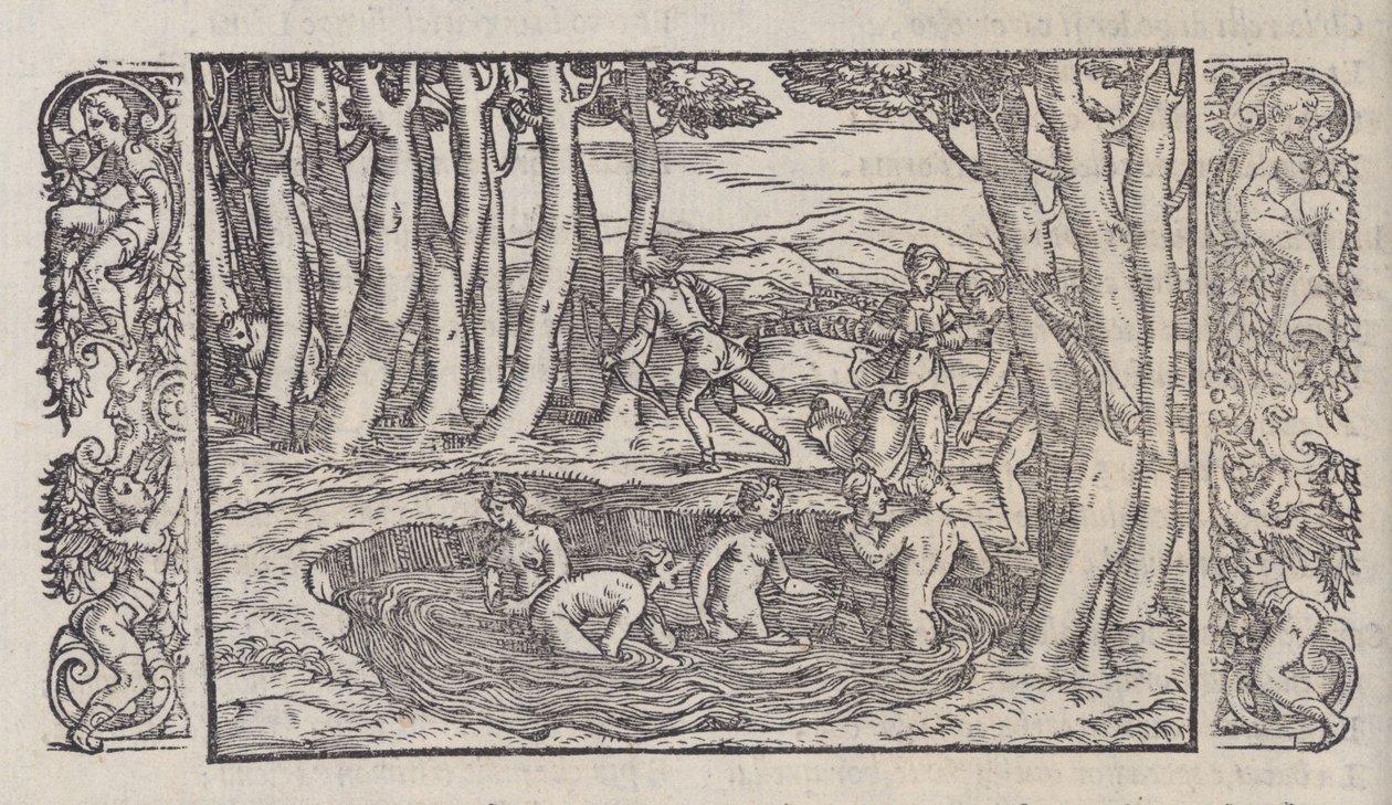 Forvandlingene, 1558., 1558. av Giovanni Antonio Rusconi