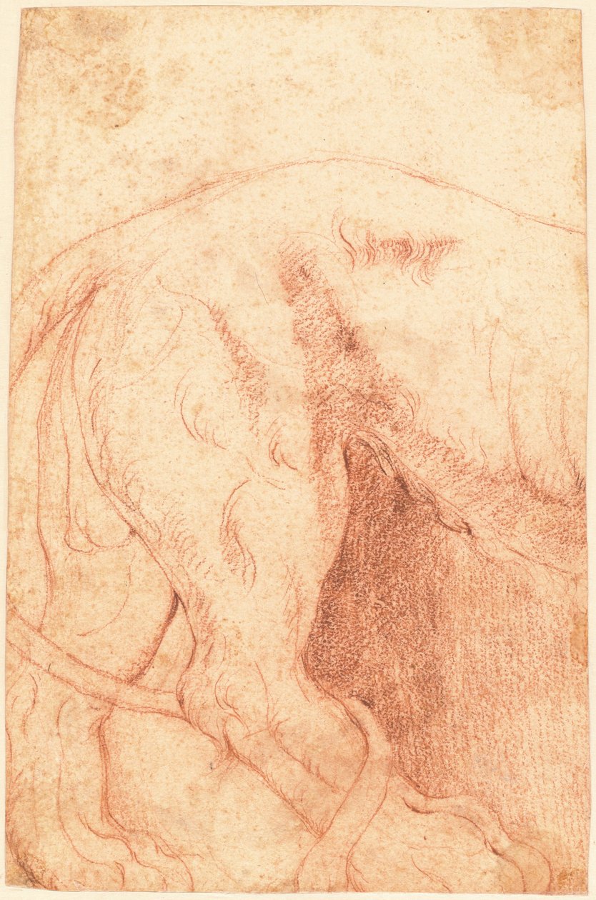 Fragment av en løve Bas-relieff (verso) av Giovanni Battista Piranesi