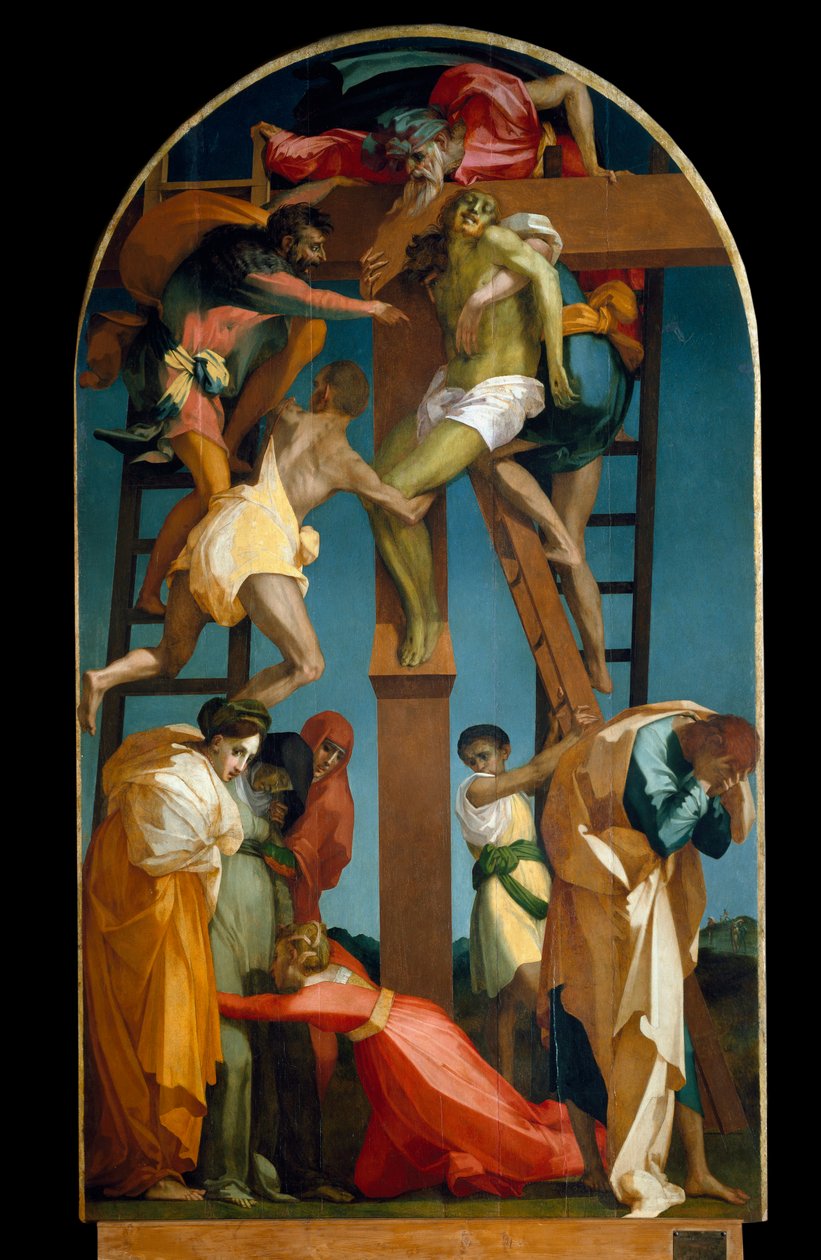 Ukjent bilde av Giovanni Battista Rosso Fiorentino