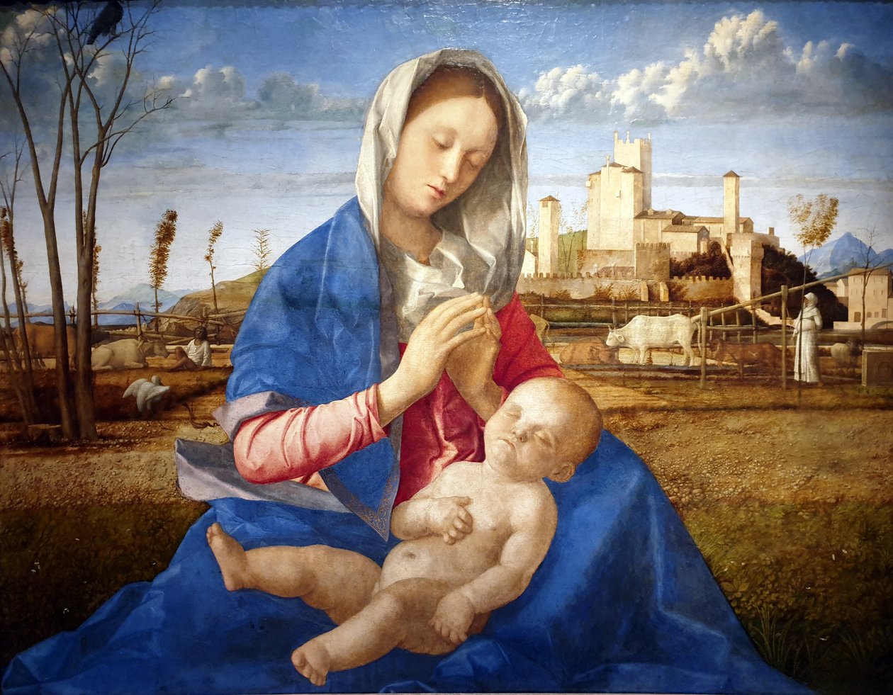  av Giovanni Bellini