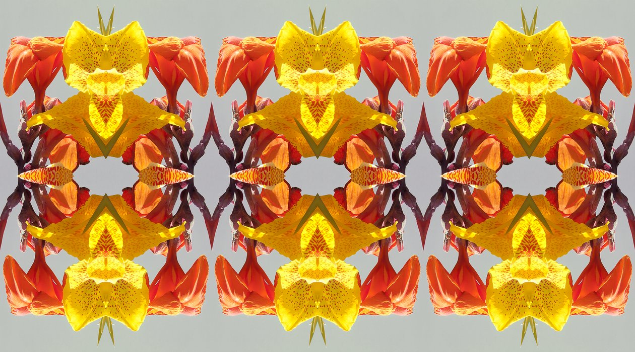 Unaturlig 190 (digitalt manipulert bilde) av Giovanni Cafagna