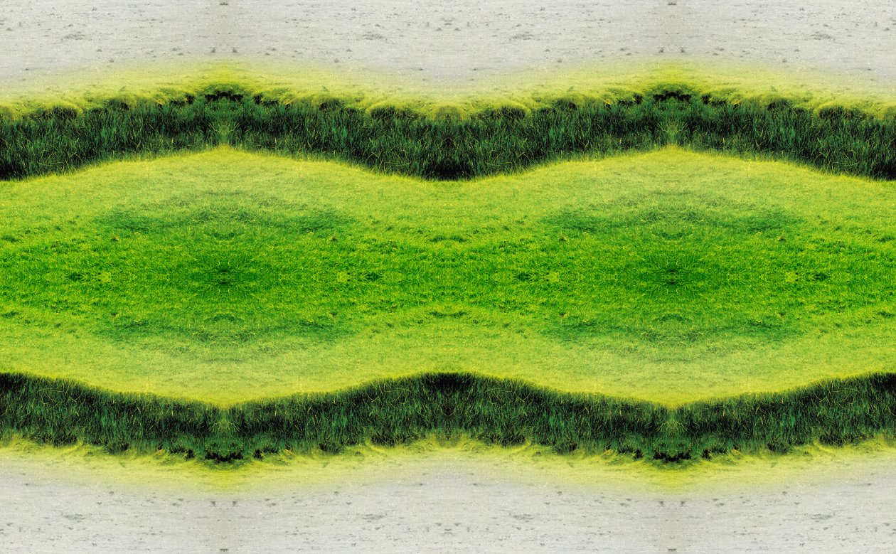 Unaturlig 2.1 (digitalt manipulert bilde) av Giovanni Cafagna