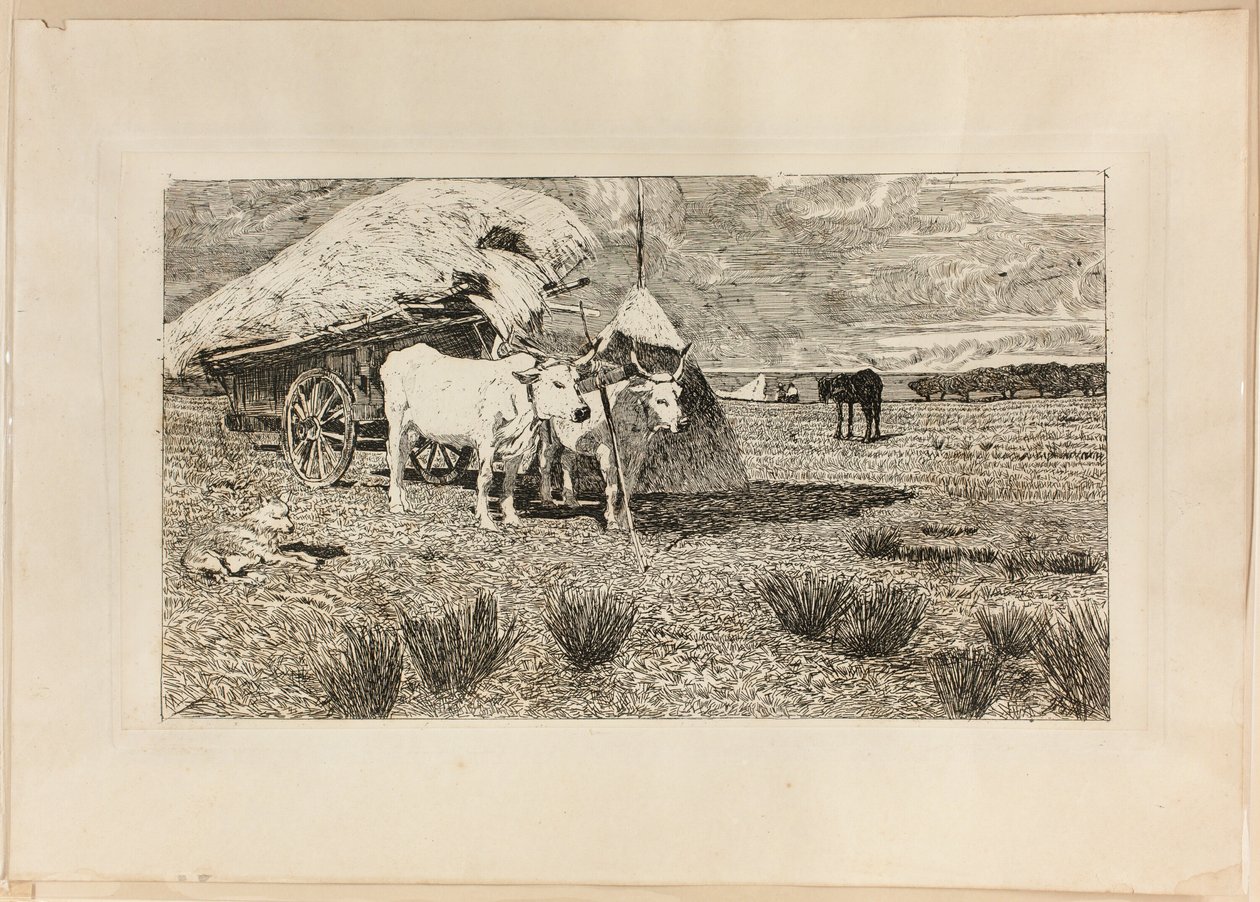 Okser og vogn (Maremma) av Giovanni Fattori