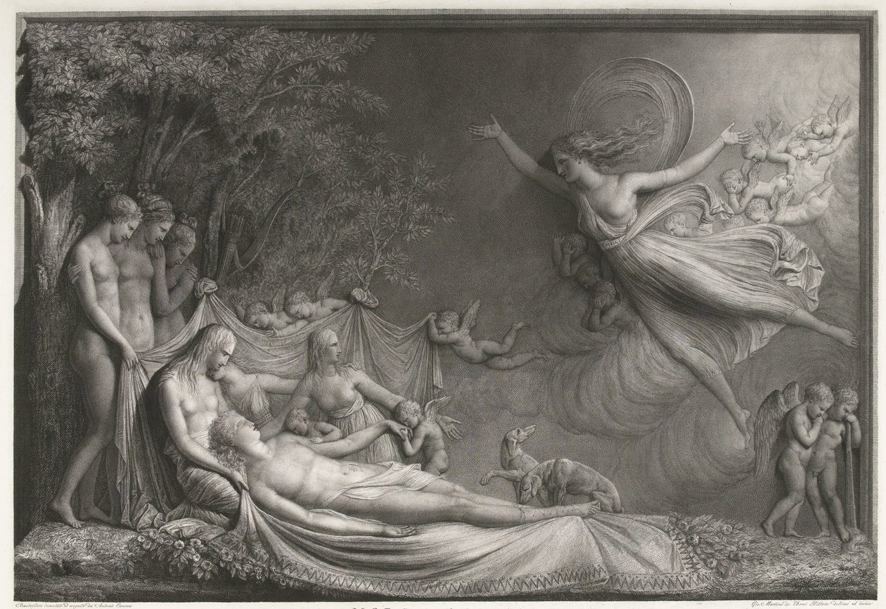 Adonis død av Giovanni Martino dei Boni