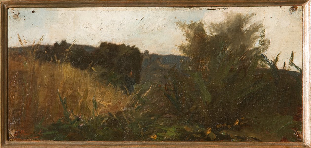 Studie av vegetasjon (oljepanelmaling) av Giovanni Muzzioli