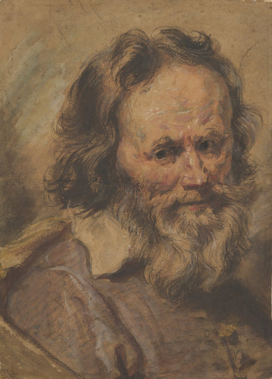 Hodet til en skjegget mann, 1600-1630. av Giovanni Serodine