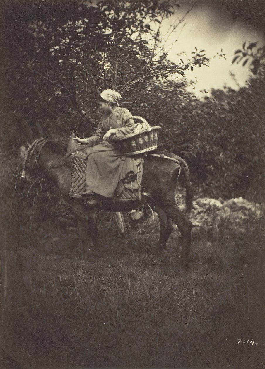 Kvinnelig bonde på esel, 1870. av Giraudon