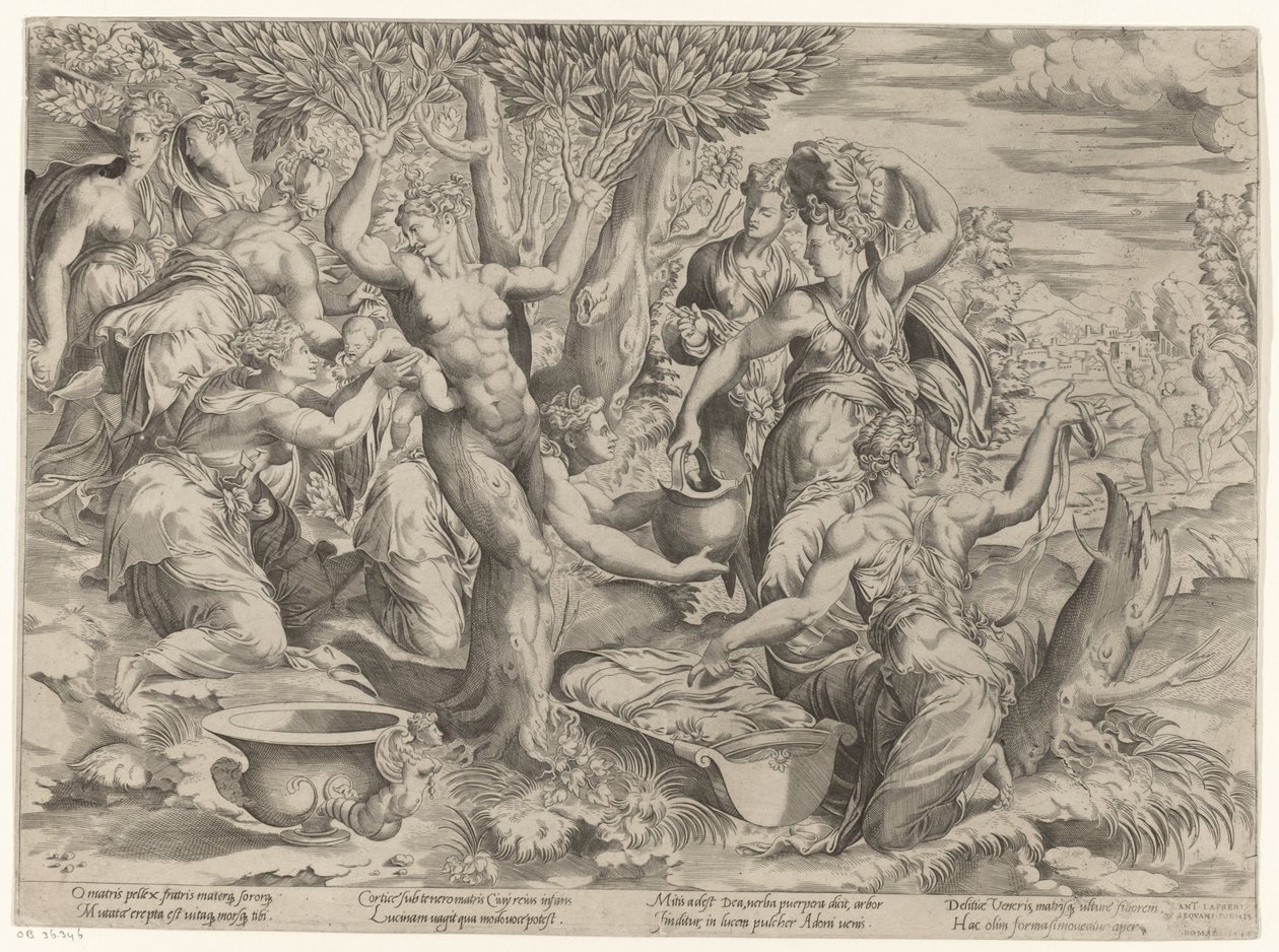 Fødsel av Adonis av Girolamo Fagiuoli (attributed to)