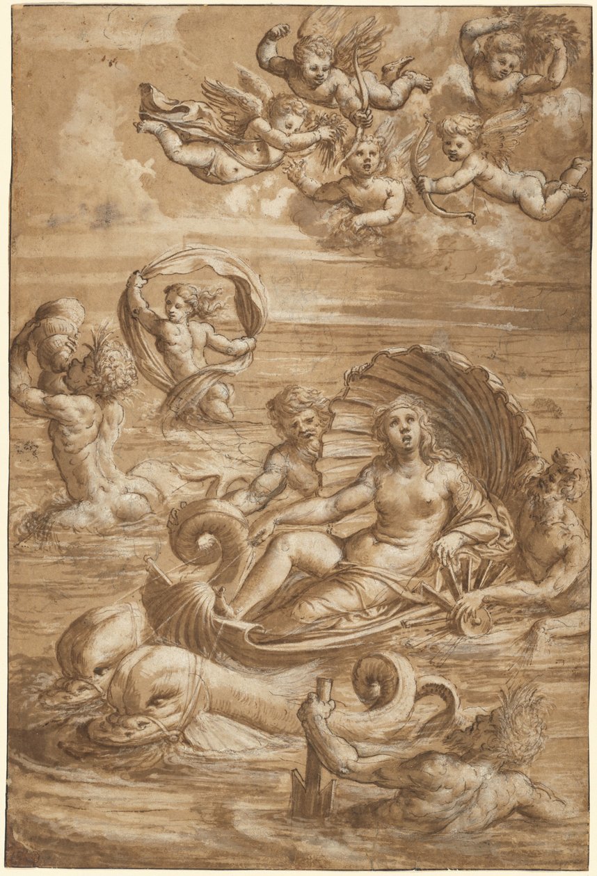 Galateas triumf av Girolamo da Treviso II