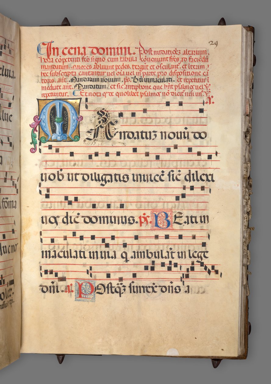 Gradvis, ca. 1520. av Girolamo dai Libri