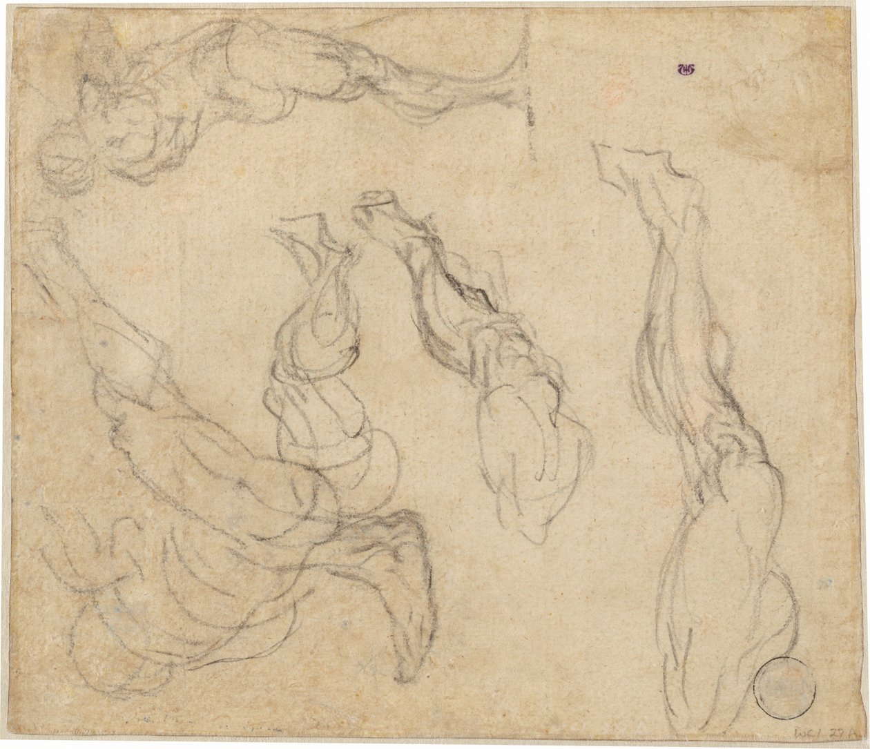 Head of a Boy (verso) av Giulio Campagnola