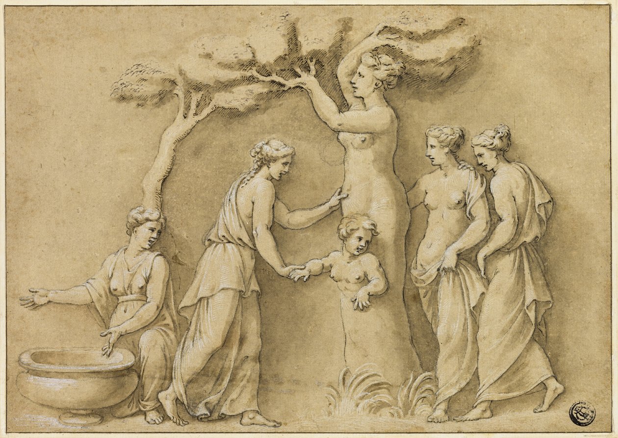 Fødsel av Adonis av Giulio Romano