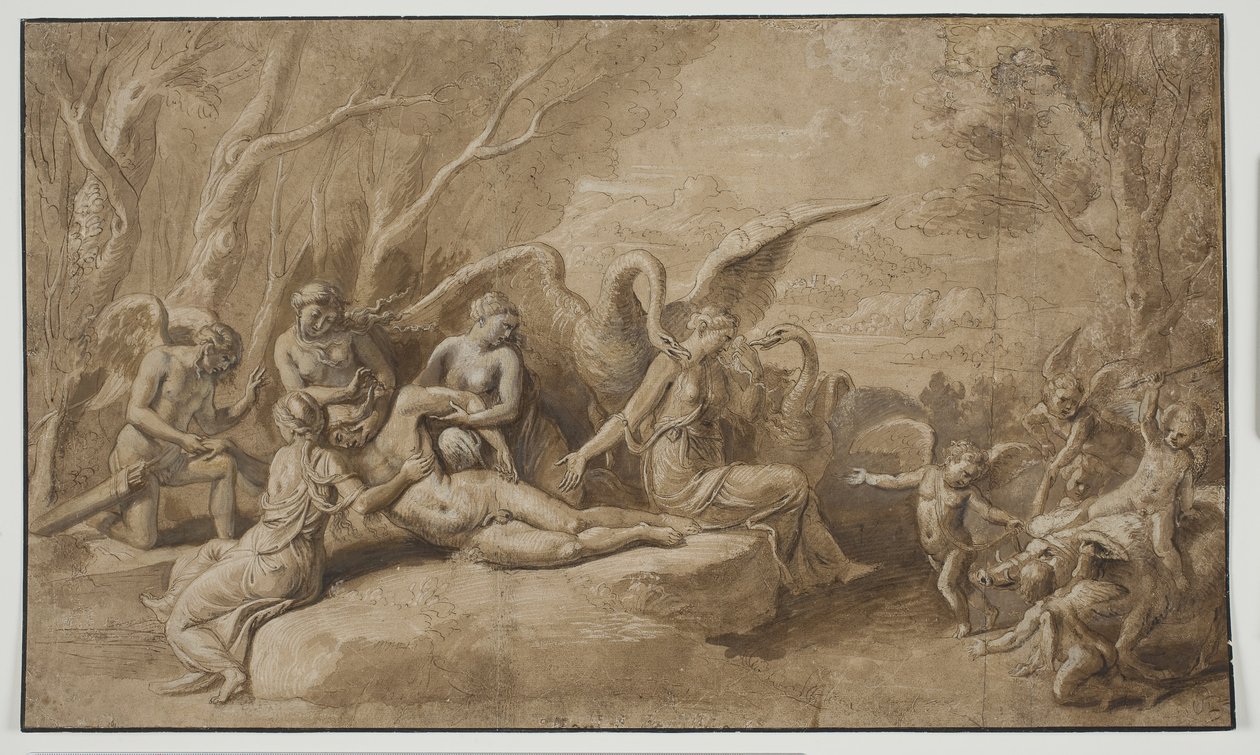 Venus sørger over Adonis død av Giulio Romano