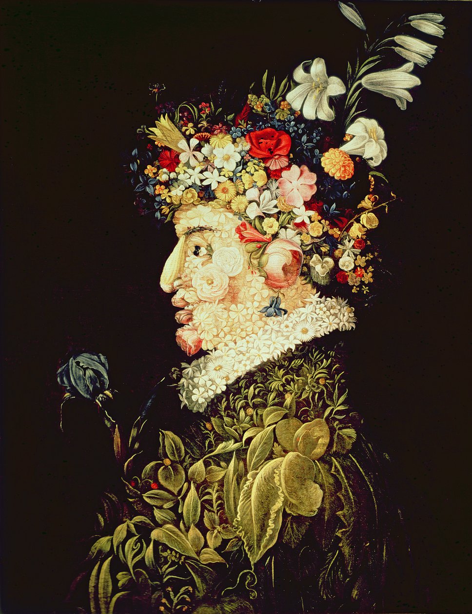 Fjær (olje) av Giuseppe Arcimboldo