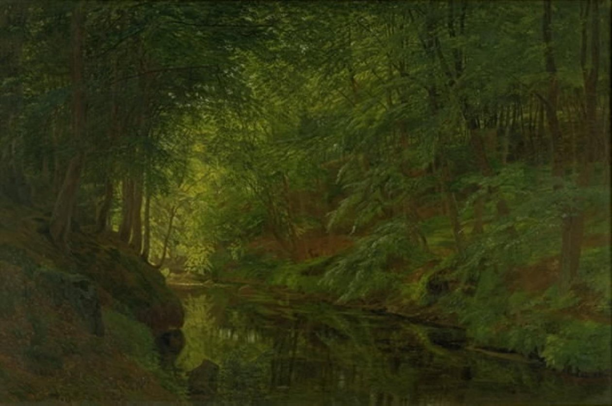 En bekk i Sæbygaard Wood, Vendsyssel, Jylland av Godtfred Rump