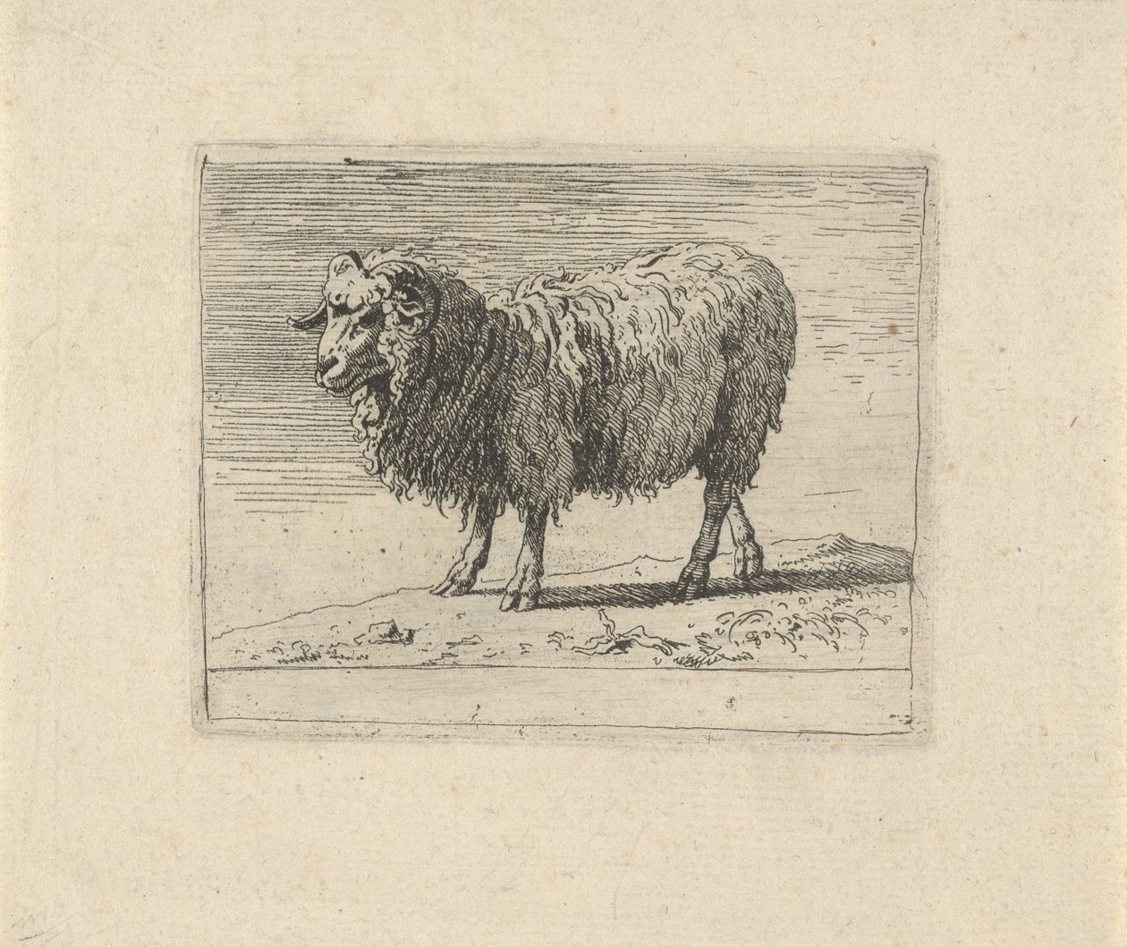 RAM Ulike dyr (serietittel) av Govert van der Leeuw