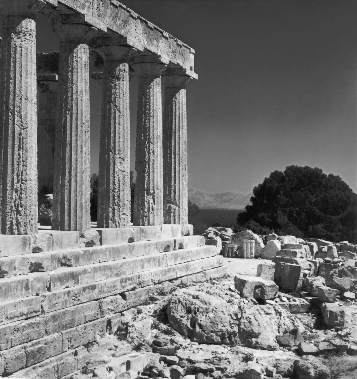 Aphaia-tempelet av Greek
