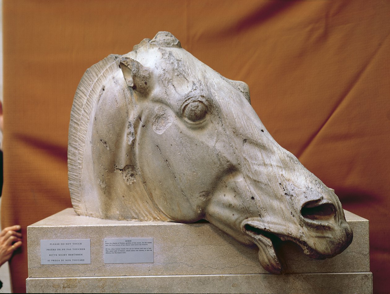 Leder for en hest av Selene av Greek