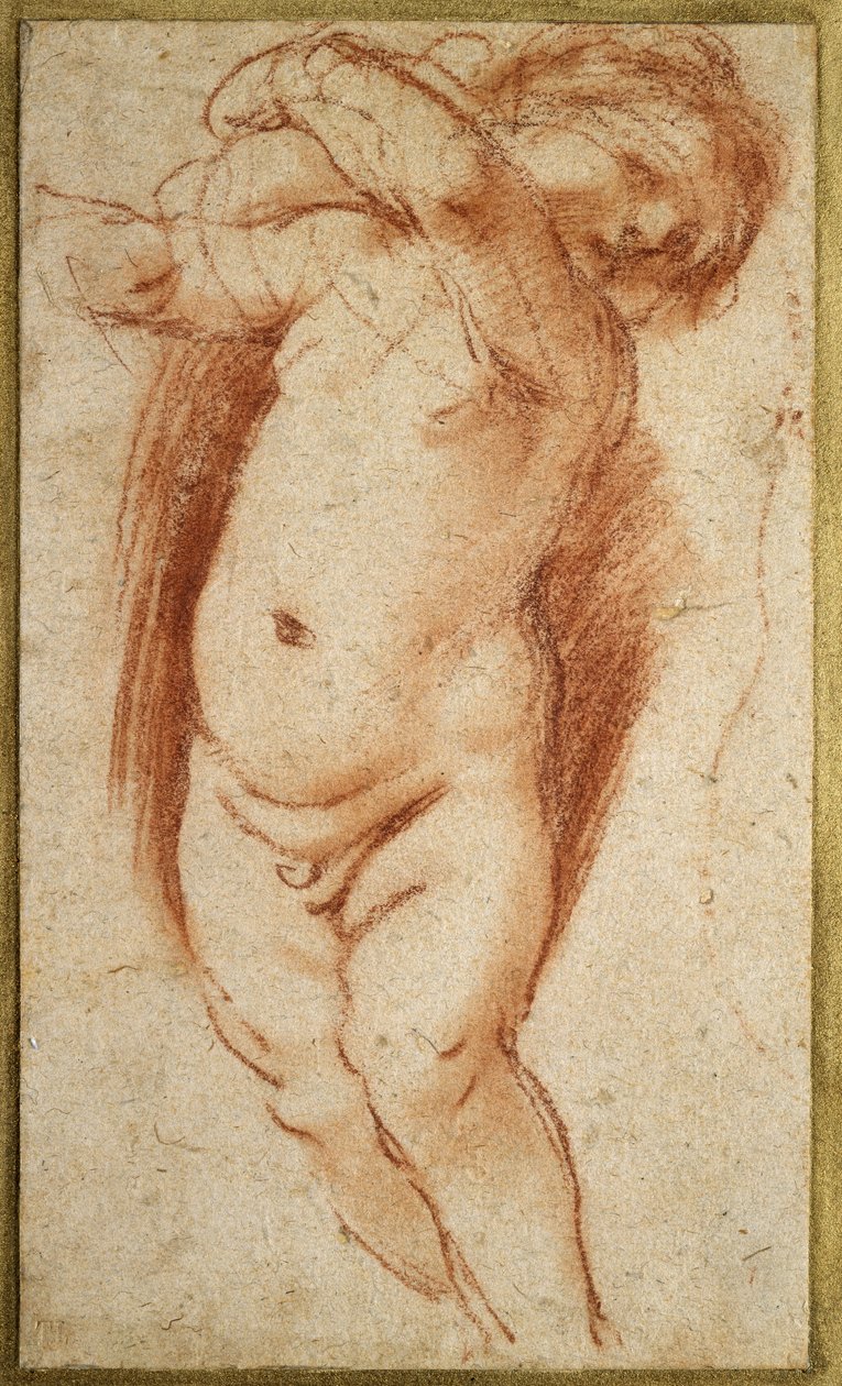 A Putto, 1620 - 1624 (rødt kritt på gråaktig papir) av Giovanni Francesco Barbieri
