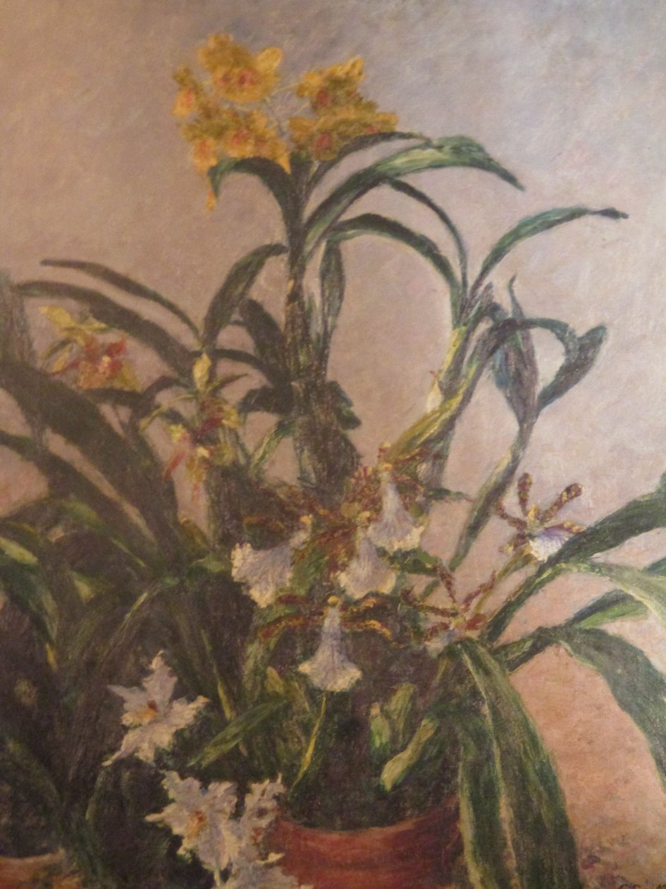 Gule orkideer av Gustave Caillebotte