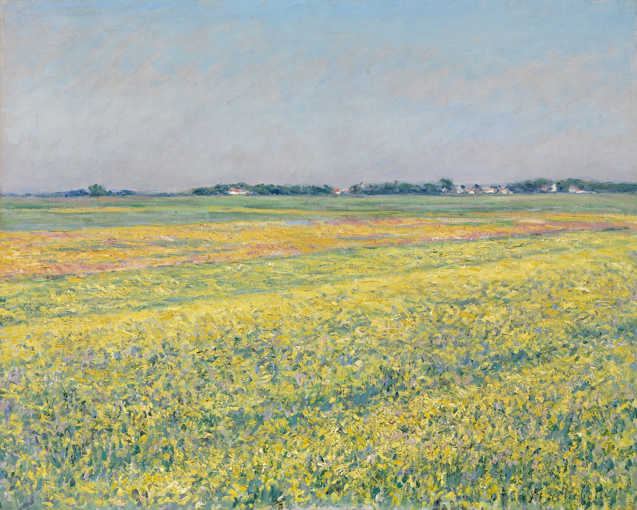 Gennevilliers slette, gule åker av Gustave Caillebotte