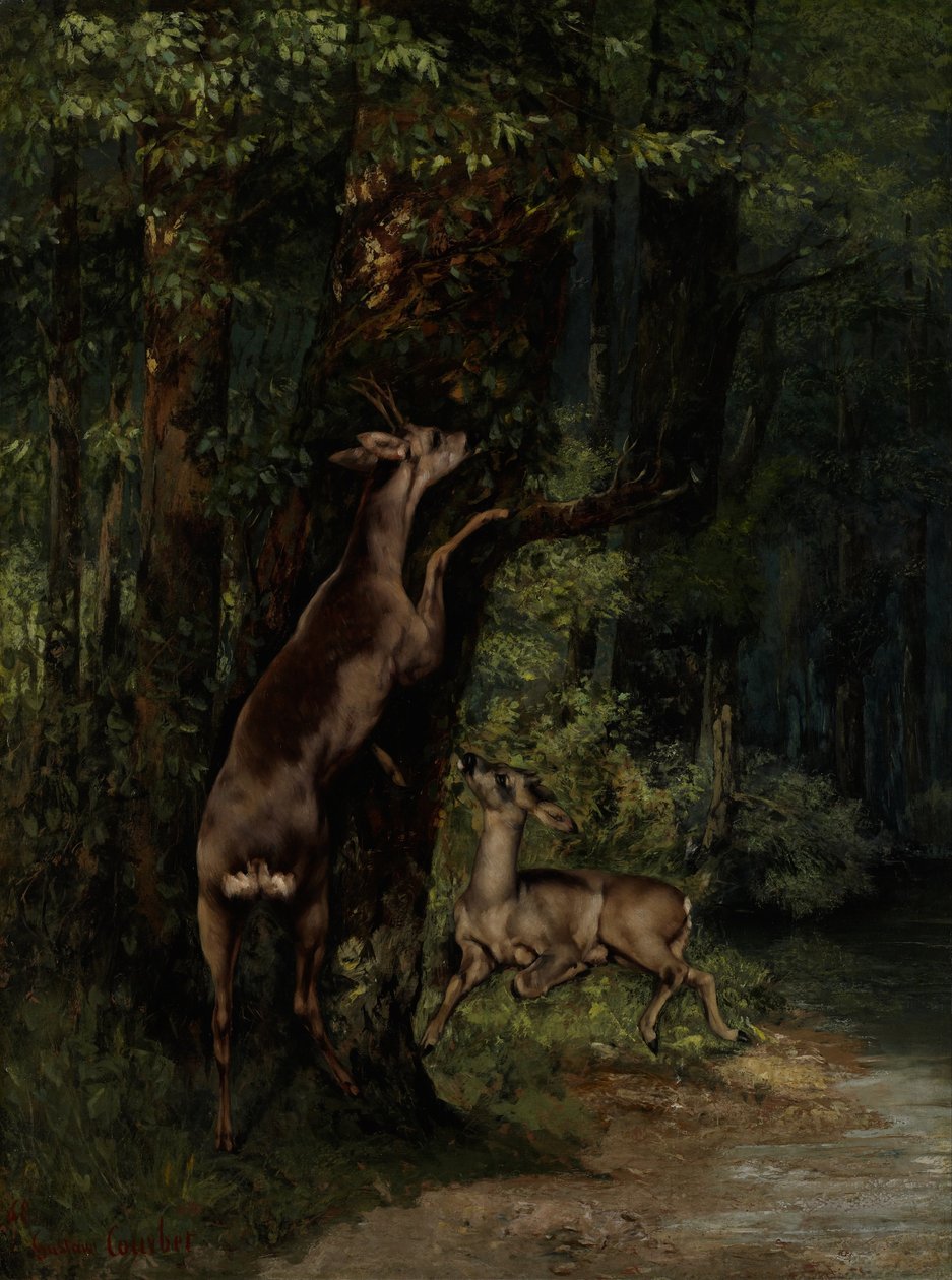 Hjort i skogen av Gustave Courbet