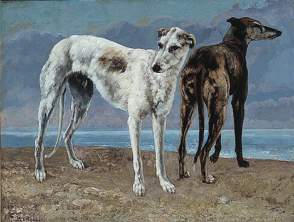 Greyhounds of the Comte de Choiseul av Gustave Courbet
