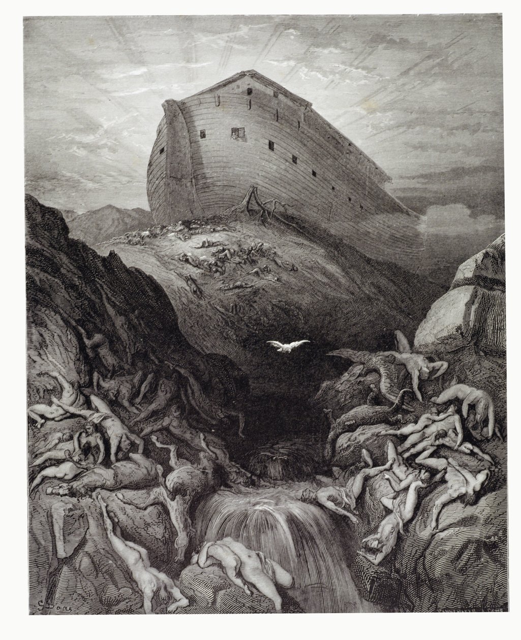 Duen sendt ut fra arken, gravert av Stephane Pannemaker (1847-1930) ca. 1868 av Gustave Dore