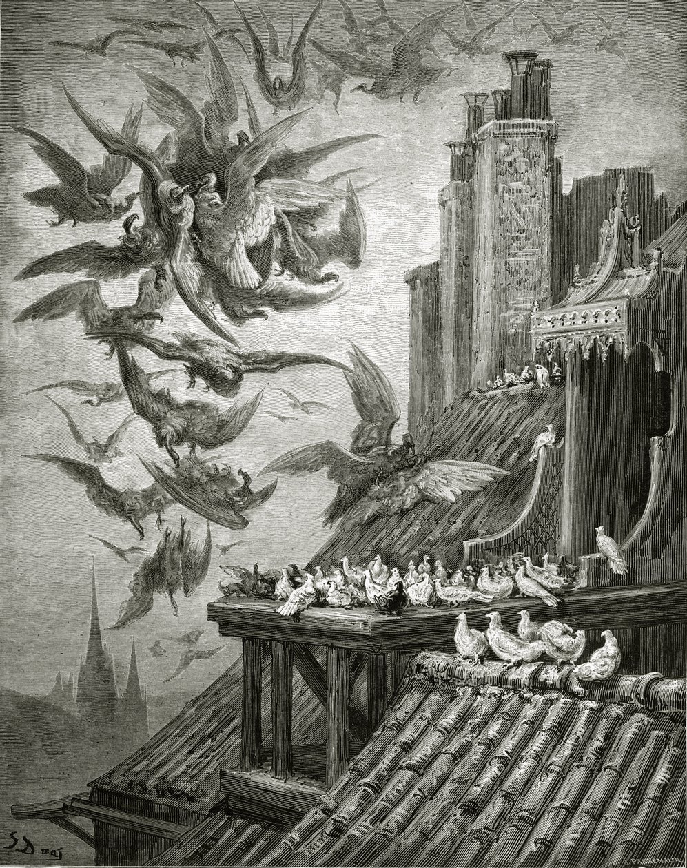The Eagles and The Pigeons, illustrasjon fra 