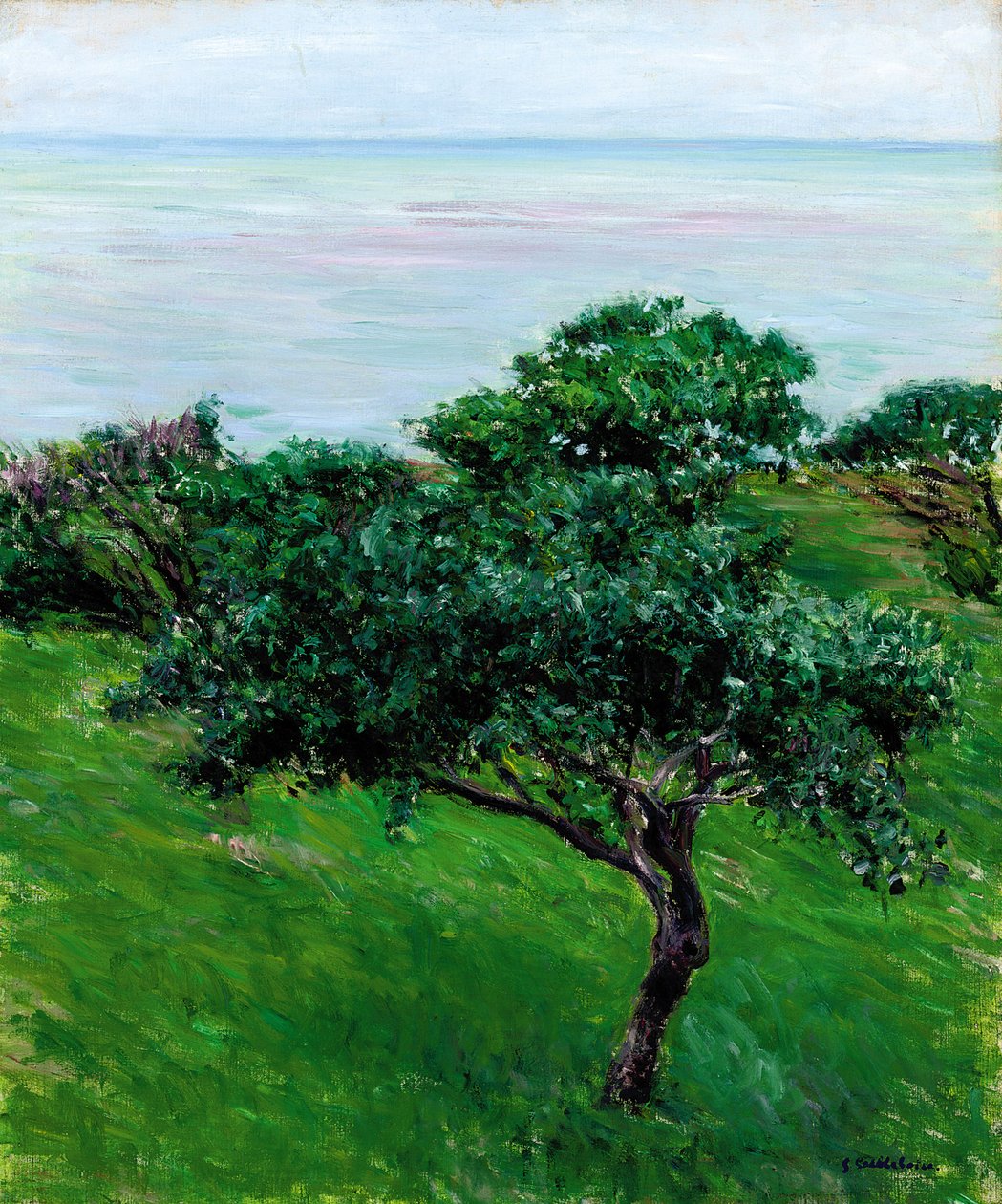 Epletrær ved havet, Trouville, 1880 av Gustave Caillebotte