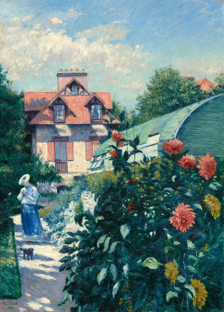 Dahliaer, hage ved Petit Gennevilliers, 1893. av Gustave Caillebotte