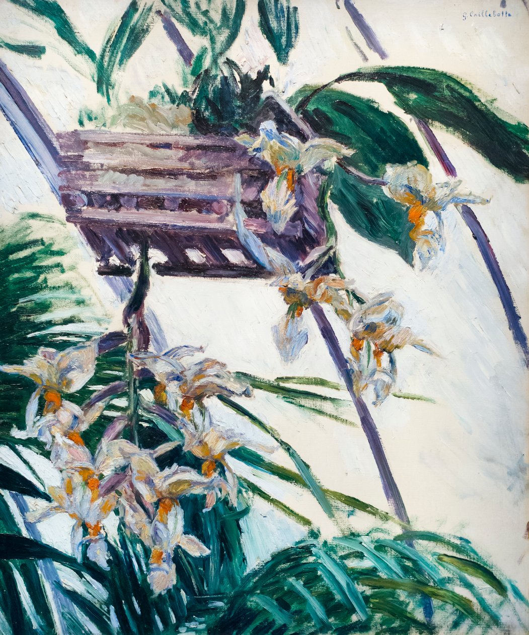 Orkideer, ca. 1893 (olje på lerret) av Gustave Caillebotte