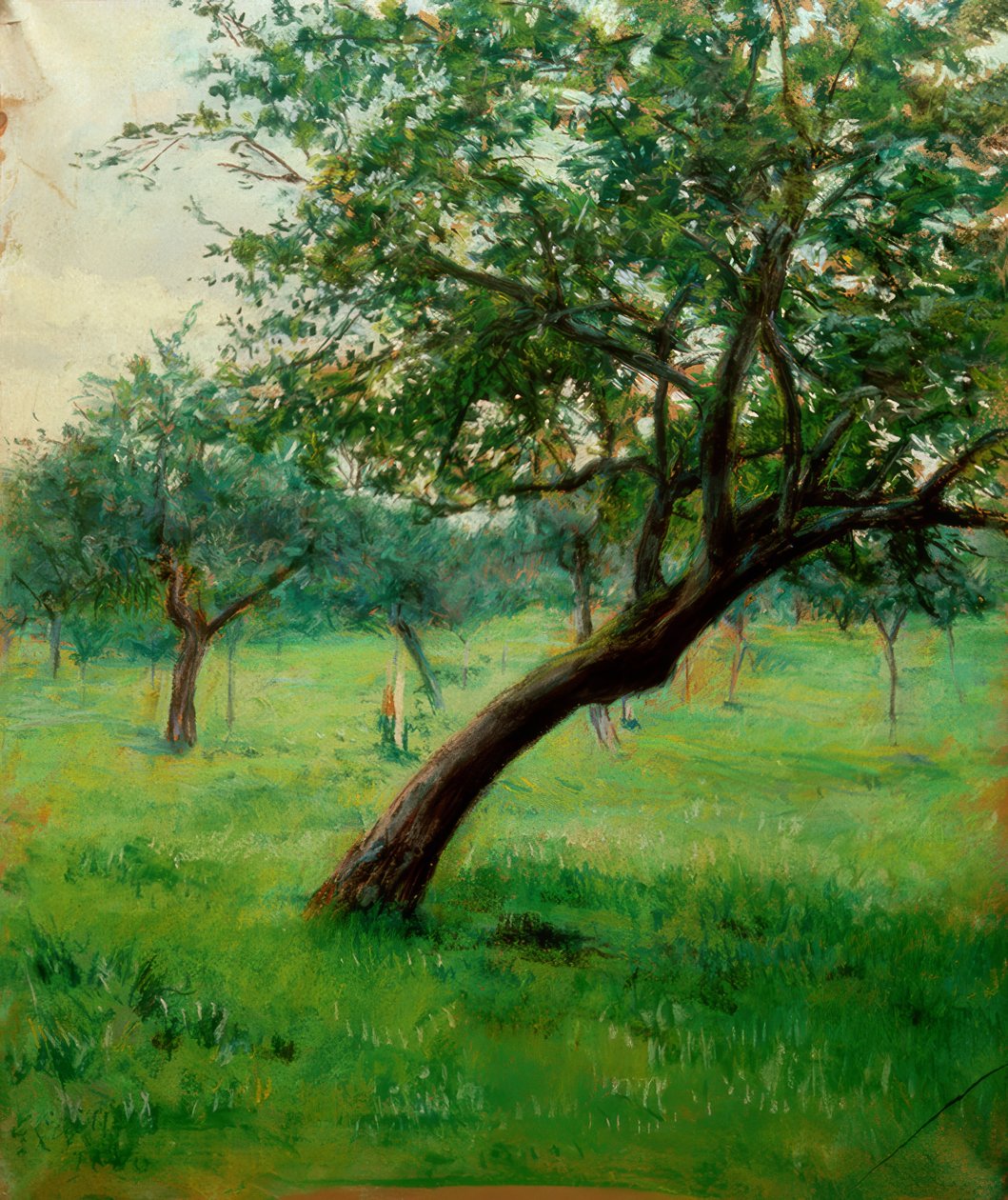 Verger, også kjent som Verger i Normandie av Gustave Caillebotte