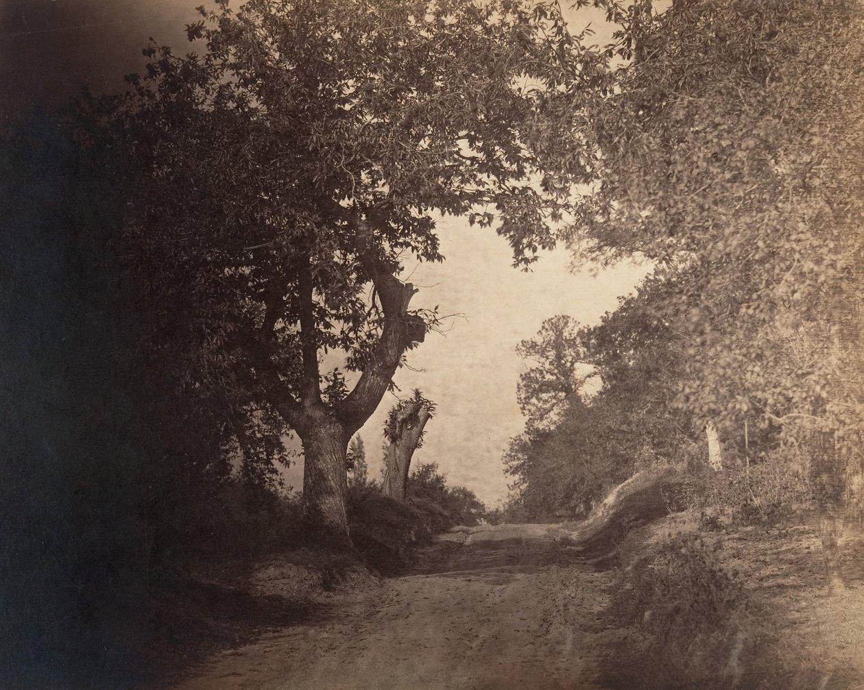 Fontainebleau, sandsti oppover, ca. 1856. av Gustave Le Gray